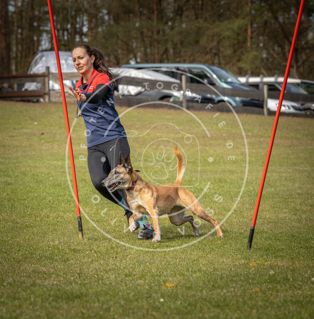 Pfotenfotografie_DV3A7456 | Hundefotografie, Tierfotograf, Pfotenfotografie, Fotoshooting Hund, Hunde Portrait, Hundesport, Hundeportraits, Heideshooting, Hunde, Sportfotograf, Hundefotograf, Turnierhundsport, THS,  - Realisiert mit Pictrs.com