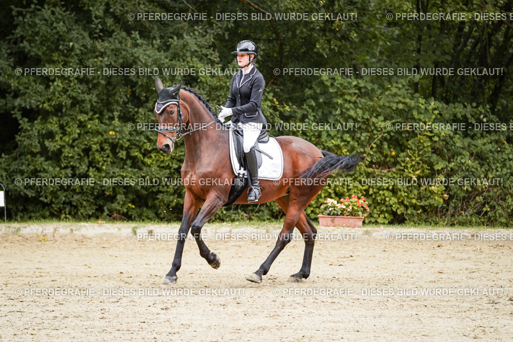 DSC08931 | Pferdegrafie