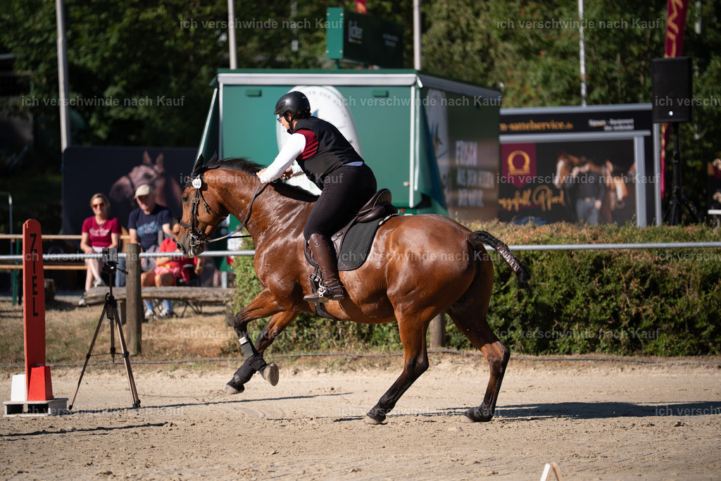 WL_SP_140_Stoibphotography_SO14462 | working equitationturnier fotograf videograf stoibphotography marixx film working equitation deutschland reitsport turnierfotografie eventfotografie equestrian events