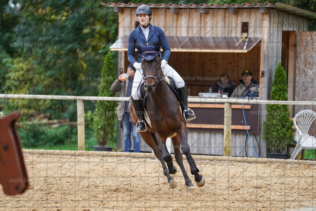 20221009-FAH08798 | Diessen am Ammersee, 2022, Dressur- und Springturnier, Reitsportbilder, Turnierfotografen Bayern, Pferdefotografen, Fotoagentur Herrmann, Turnierbilder