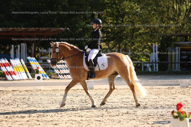 HG9A8125 | laurarinckfotografie - Realisiert mit Pictrs.com