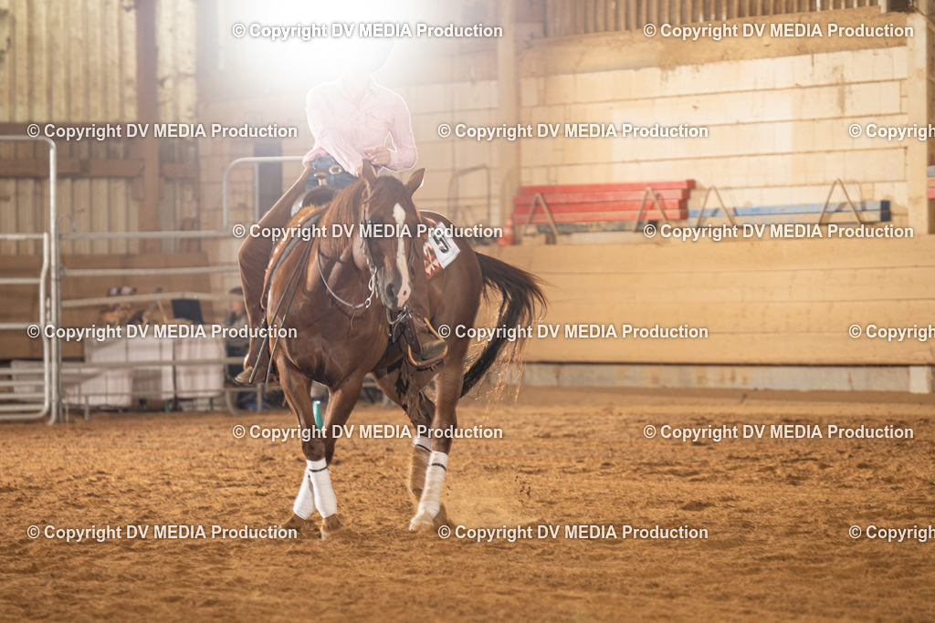 NID01253 | dv-media-shop - Realisiert mit Pictrs.com