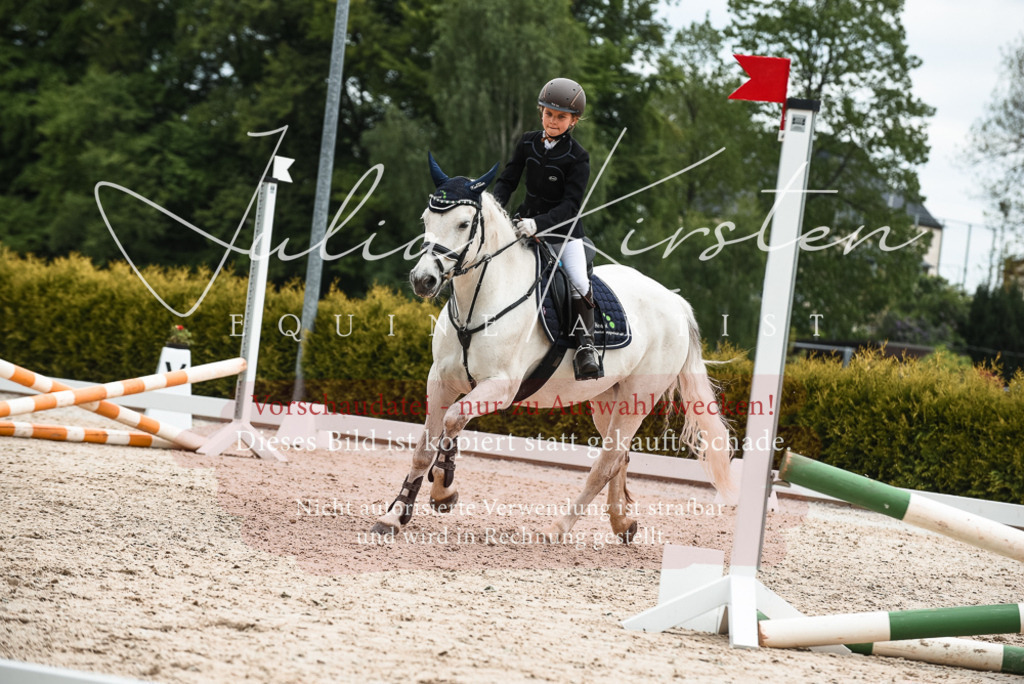 20230518_JK-Röhrsdorf-10-503 | Pferde- und Turnierfotografie in Westsachsen. Pferdeportraits, Auftragszeichnungen und intuitive Kunst.