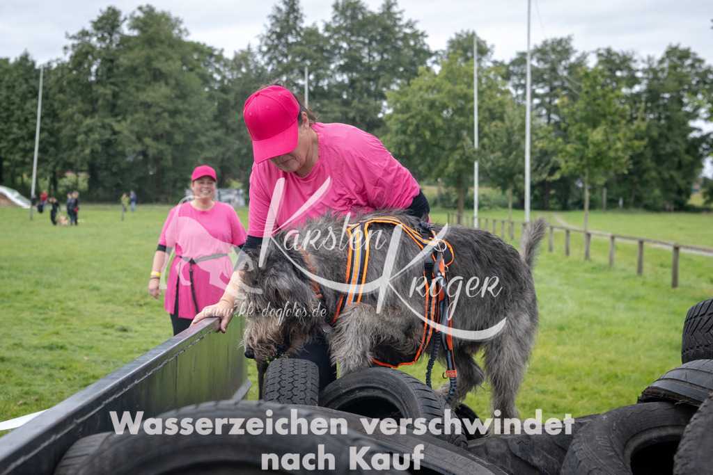 1237_ZZ91530 | kk-dogfotos