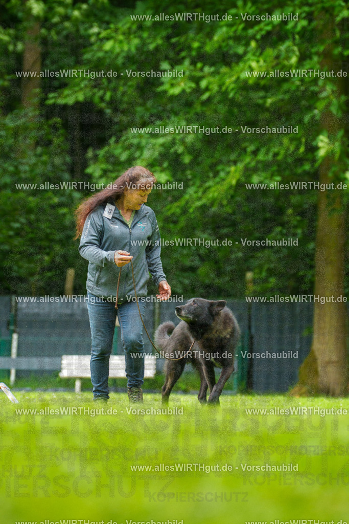 @allesWIRTHgut_Tierfotografie - www.allesWIRTHgut.de - 135457-7R500177 | Professionelle Tierfotografie in Mönchengladbach von Daniel Wirth (allesWIRTHgut). Liebevolle & natürliche Bilder von Hunden & Katzen für unvergessliche Erinnerungen.
