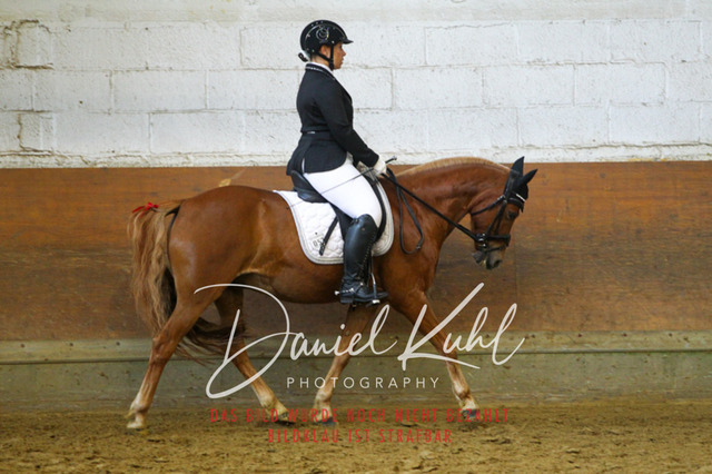 DKP43403 | Turniersportfotografie; Pferdefotografie; Dressurfotografie