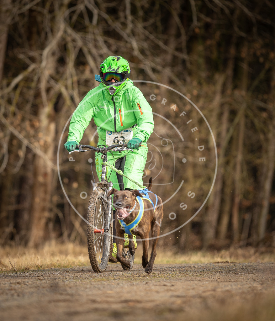 DV3A3541 | Hundefotografie, Tierfotograf, Pfotenfotografie, Fotoshooting Hund, Hunde Portrait, Hundesport, Hundeportraits, Heideshooting, Hunde, Sportfotograf, Hundefotograf, Turnierhundsport, THS,  - Realisiert mit Pictrs.com