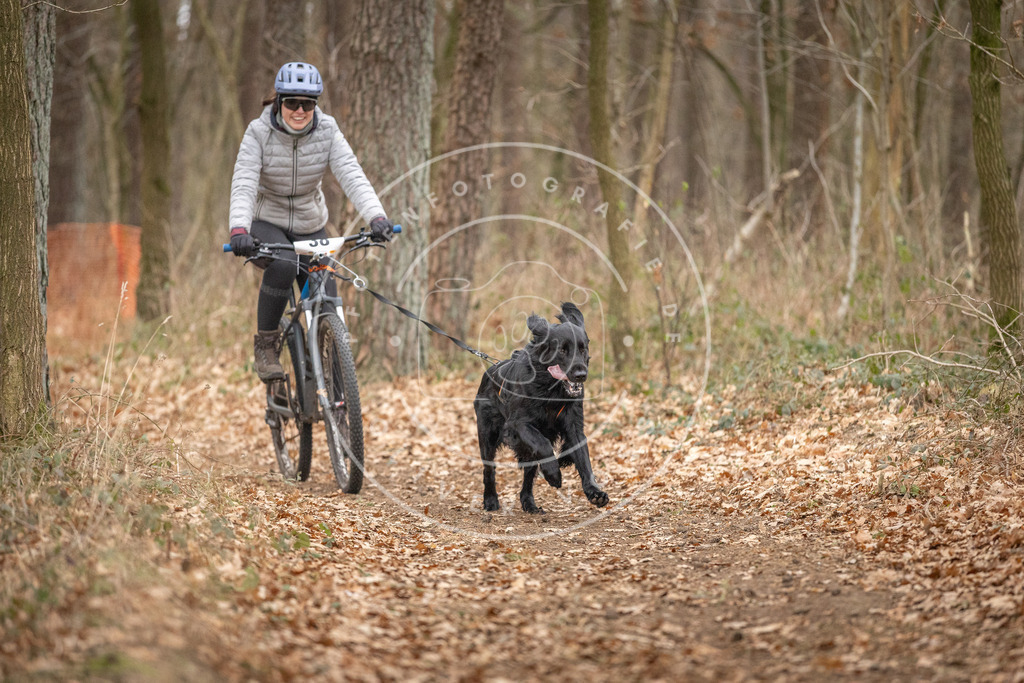 Pfotenfotografie_DV3A0197 | Hundefotografie, Tierfotograf, Pfotenfotografie, Fotoshooting Hund, Hunde Portrait, Hundesport, Hundeportraits, Heideshooting, Hunde, Sportfotograf, Hundefotograf, Turnierhundsport, THS,  - Realisiert mit Pictrs.com