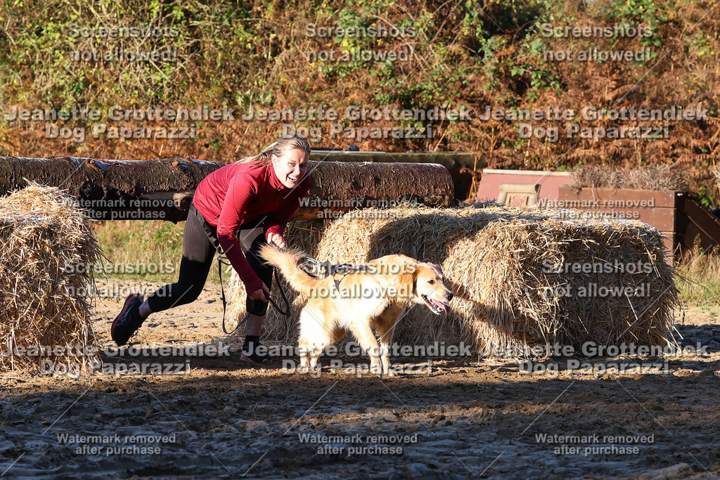 Dog Paparazzi - Strongdog 10-25-883 | Dog Paparazzi Jeanette Grottendiek Fotografie & Videografie - Realisiert mit Pictrs.com