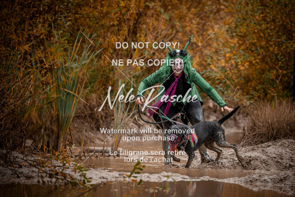 nelerasche_Creepy2025_Sa11-12_212 | nelerasche