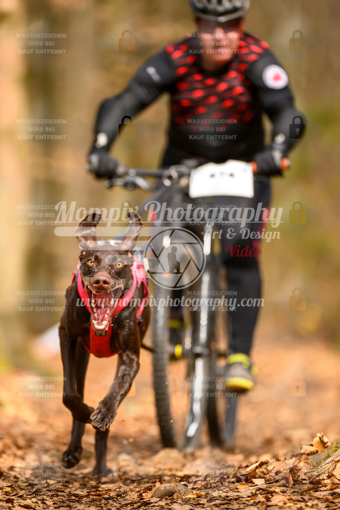 MompixPhotography_Habay2025_SA_Bike-109 | PayLife