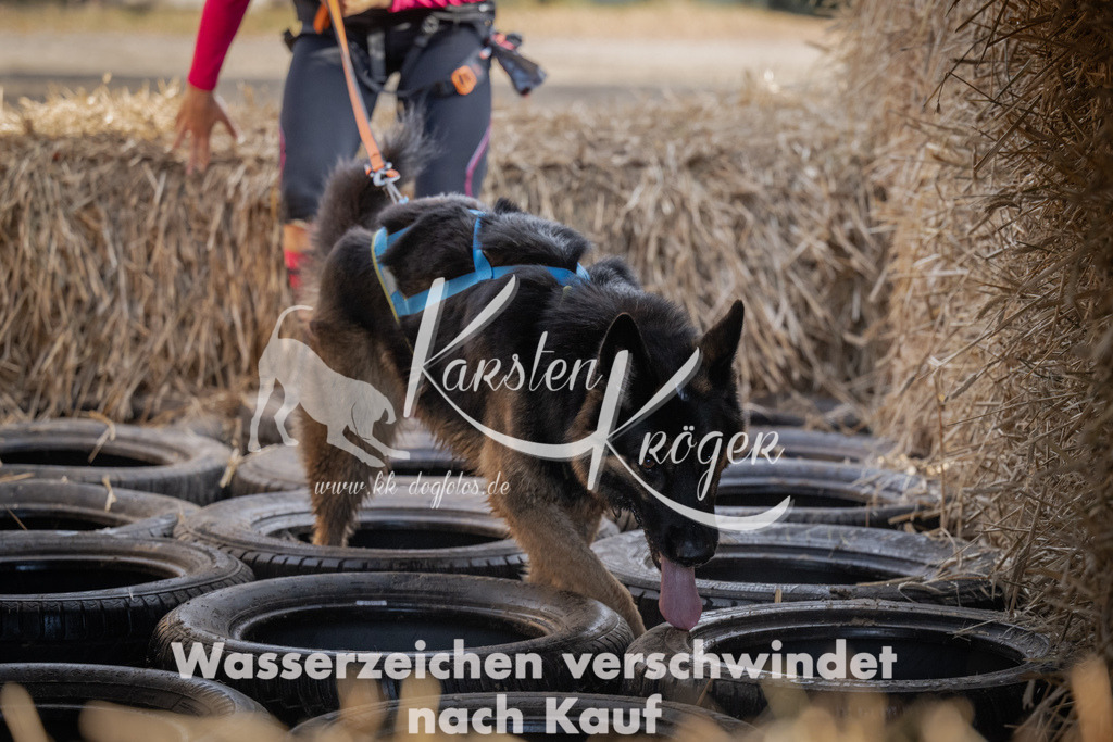 1049_ZZ99310 | kk-dogfotos