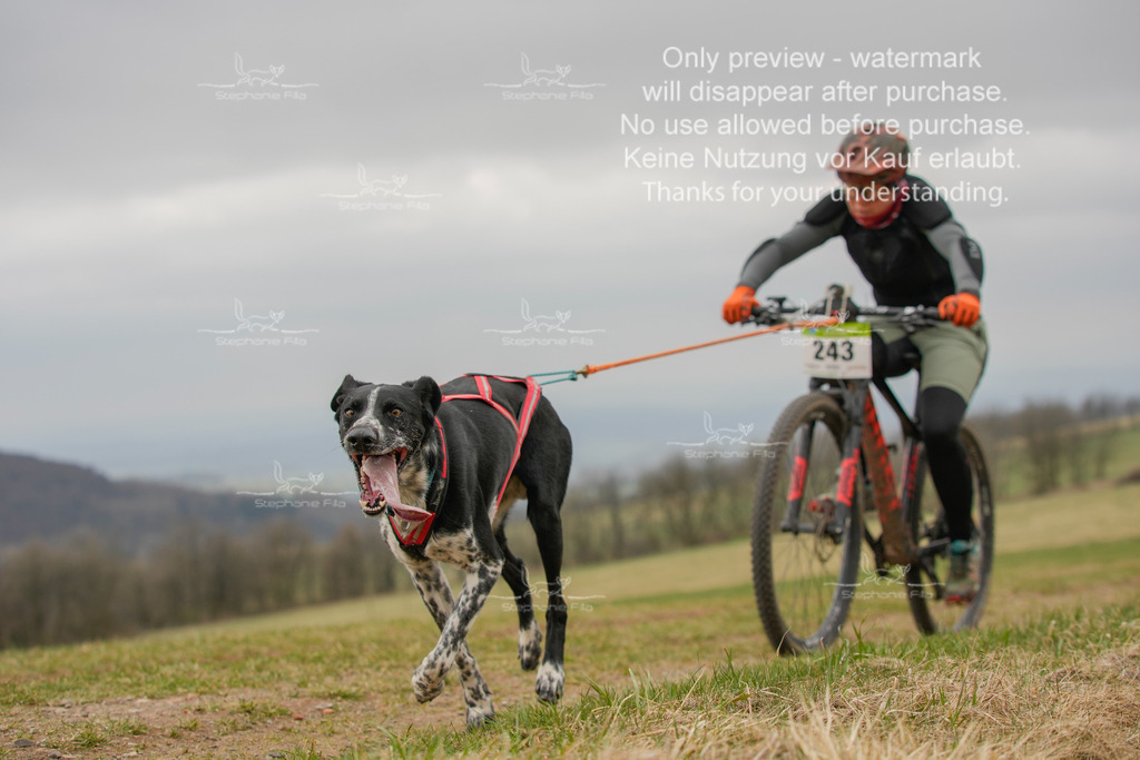 BikeSA-259 | stephaniefillaphotographie - Realisiert mit Pictrs.com