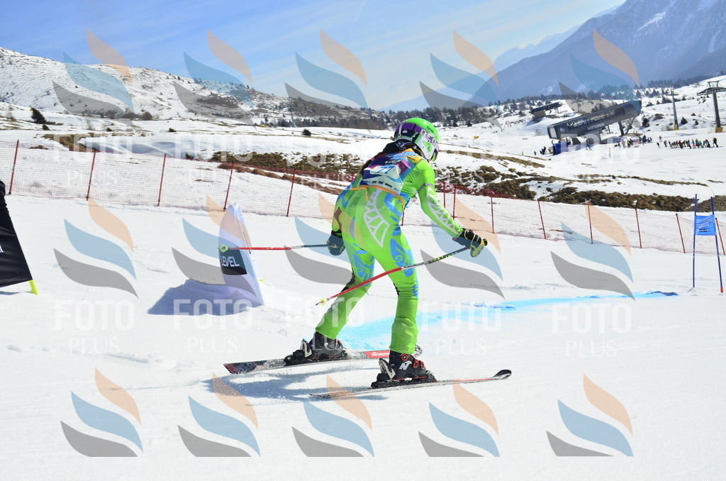 _ELE0382 | holidayphoto