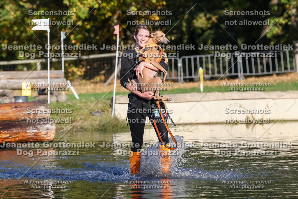 Dog Paparazzi - Strongdog 10-25-8795 | Dog Paparazzi Jeanette Grottendiek Fotografie & Videografie - Realisiert mit Pictrs.com