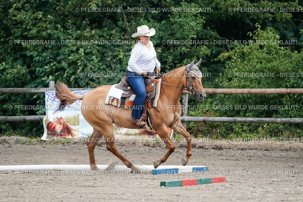 DSC05872 | Pferdegrafie