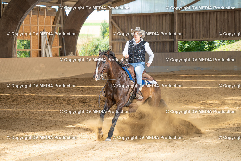 DSC00053 | dv-media-shop - Realisiert mit Pictrs.com