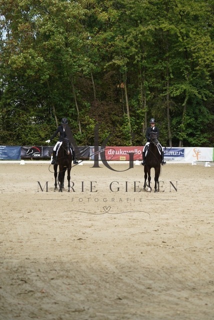 VAN01147 | Marie Giesen Fotografie - Realisiert mit Pictrs.com