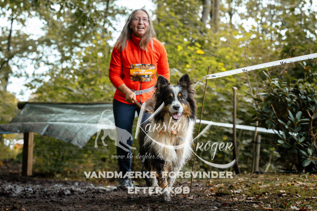 1426DZ6_1925Z6 | kk-dogfotos
