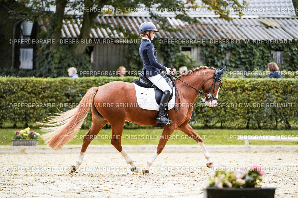 DSC07924 | Pferdegrafie