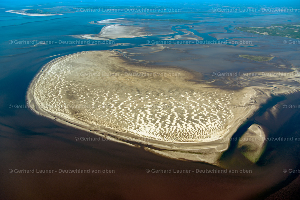 3801560 | Süderoogsand, Nationalpark Schleswig-Holsteinisches Wattenmeer