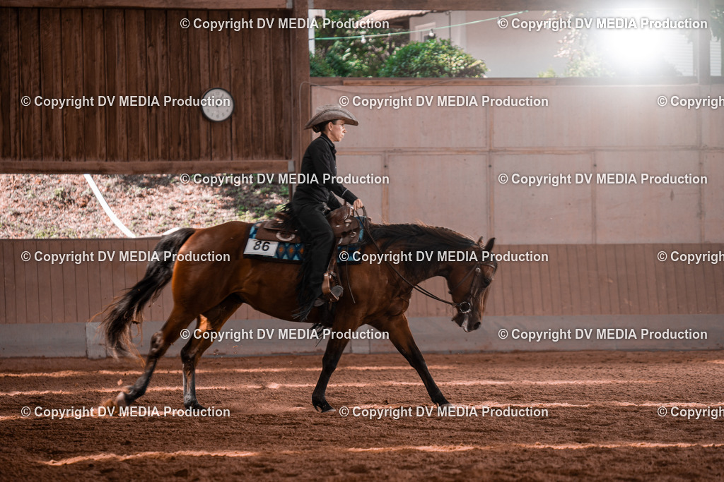 NE100395 | dv-media-shop - Realisiert mit Pictrs.com