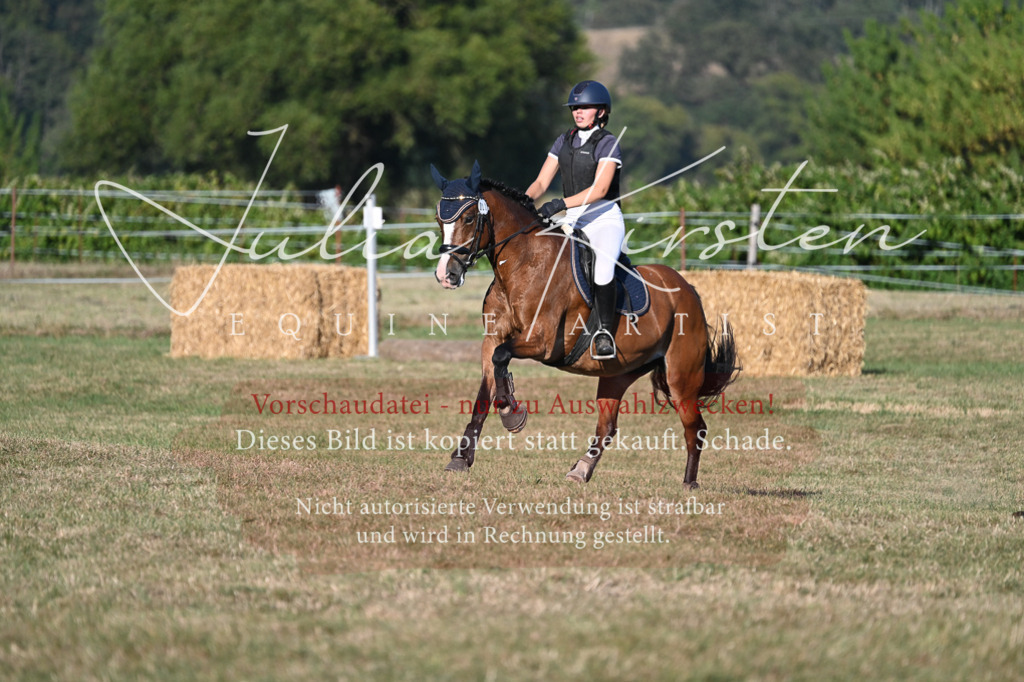 DSC_9105 | Pferde- und Turnierfotografie in Westsachsen. Pferdeportraits, Auftragszeichnungen und intuitive Kunst.
