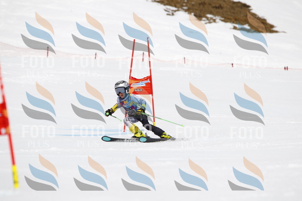 _U3G6473 | holidayphoto