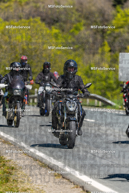 MSFotoServiceXXX297 | MSFotoService - Realisiert mit Pictrs.com