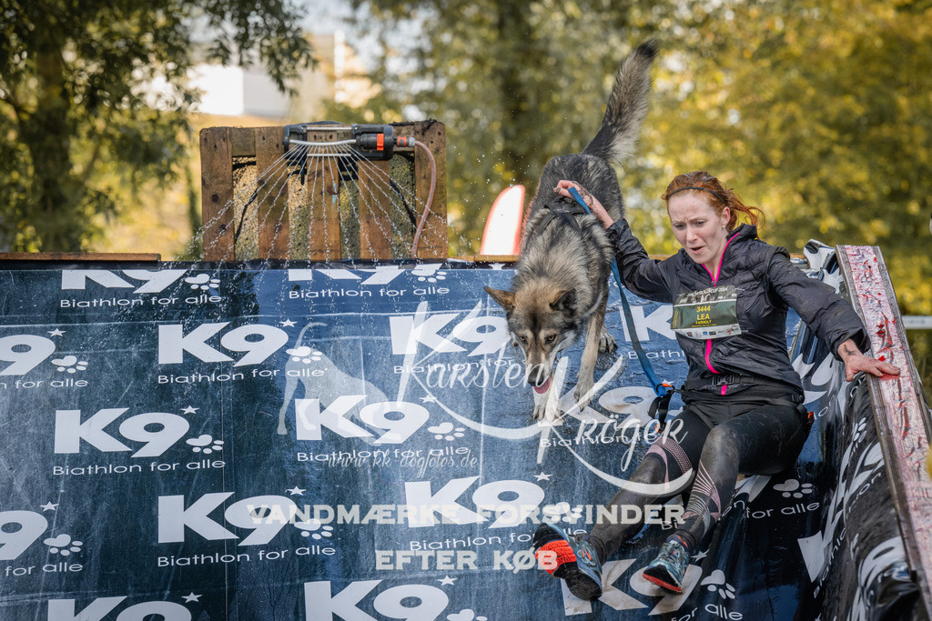 1541_ZZ90561 | kk-dogfotos