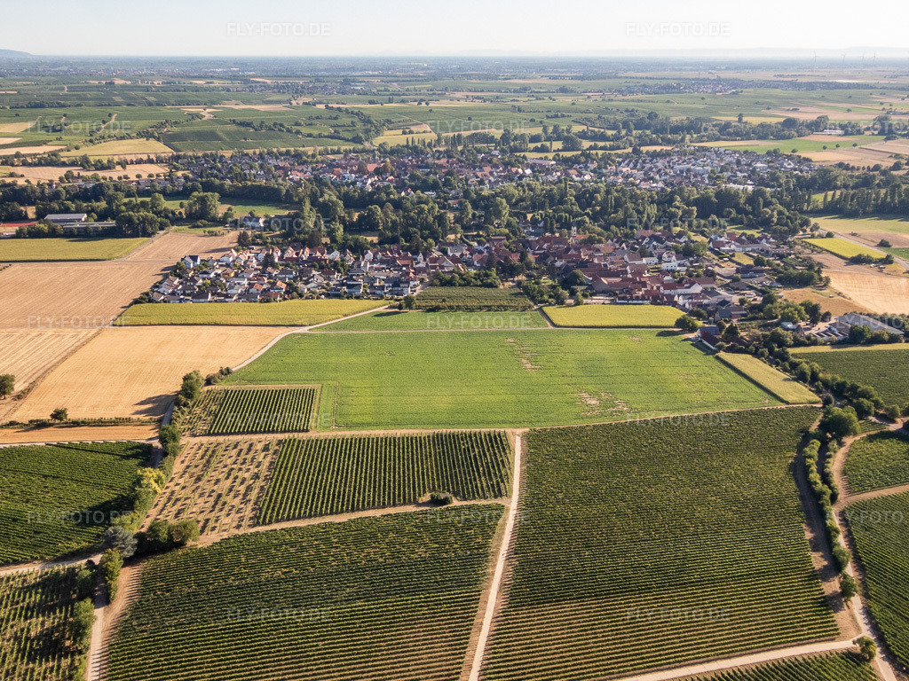 Luftbild: Ortsansicht von Südwesten im Ortsteil Mühlhofen in Billigheim-Ingenheim im Bundesland Rheinland-Pfalz in Deutschland.Foto: P8080029.jpg vom 08.08.2022 durch Werner Riehm/FLY-FOTO.deAuflösung des Originals: 4379 x 3284 px