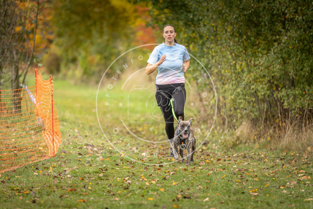 Pfotenfotografie_DV3A4828 | Hundefotografie, Tierfotograf, Pfotenfotografie, Fotoshooting Hund, Hunde Portrait, Hundesport, Hundeportraits, Heideshooting, Hunde, Sportfotograf, Hundefotograf, Turnierhundsport, THS,  - Realisiert mit Pictrs.com