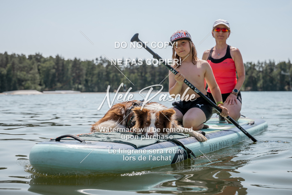 nelerasche_saSUP1_251 | nelerasche
