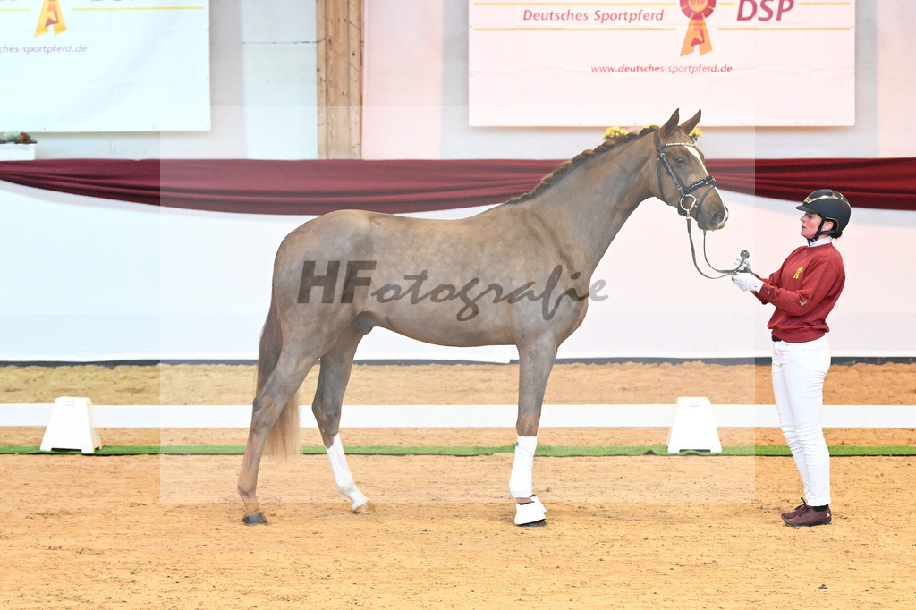 Kat-Nr. 4 v. Benicio_Galneder_66220011 | hf-fotografie - Realisiert mit Pictrs.com