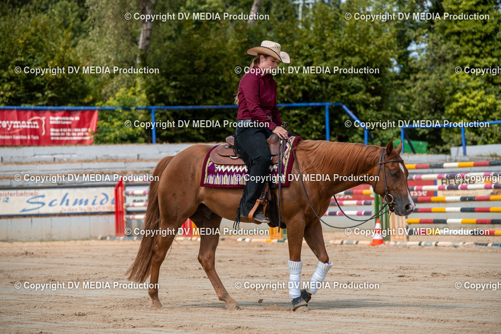 ZS3_9563 | dv-media-shop - Realisiert mit Pictrs.com