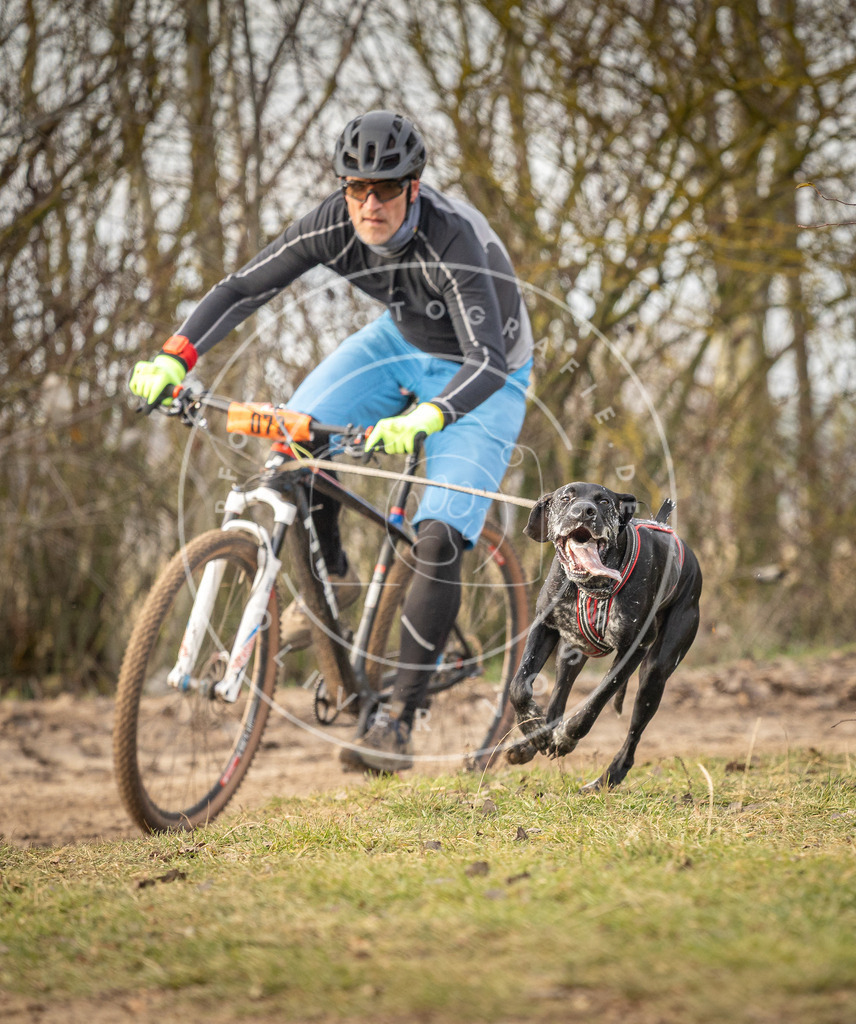 Pfotenfotografie_DV3A7123 | Hundefotografie, Tierfotograf, Pfotenfotografie, Fotoshooting Hund, Hunde Portrait, Hundesport, Hundeportraits, Heideshooting, Hunde, Sportfotograf, Hundefotograf, Turnierhundsport, THS,  - Realisiert mit Pictrs.com