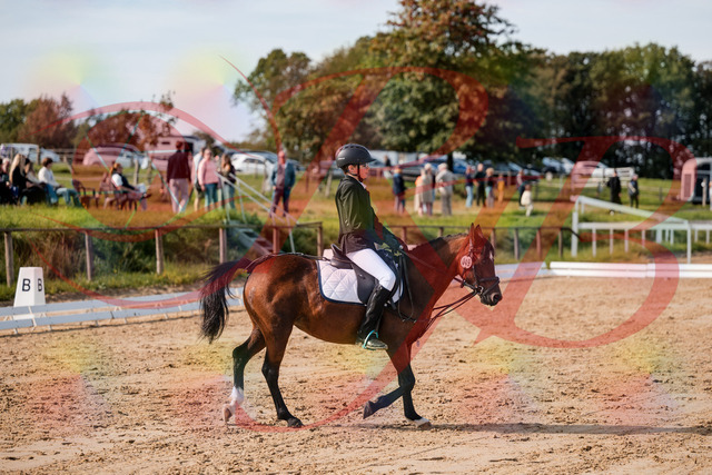 2026_10_03_Siefer-Hof_122019_Z63_42806536 | Professionelle Reitsport-, Turnier- und Eventfotografie von Robert Broda. Galerien mit ausgewählten und bearbeiteten Bildern direkt online ansehen und bestellen.