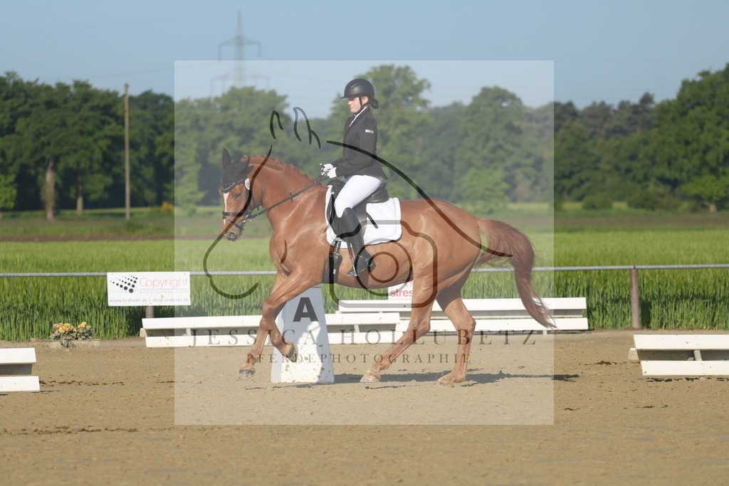 IMG_1353 | jessicahollubetz_pferdephotographie - Realisiert mit Pictrs.com