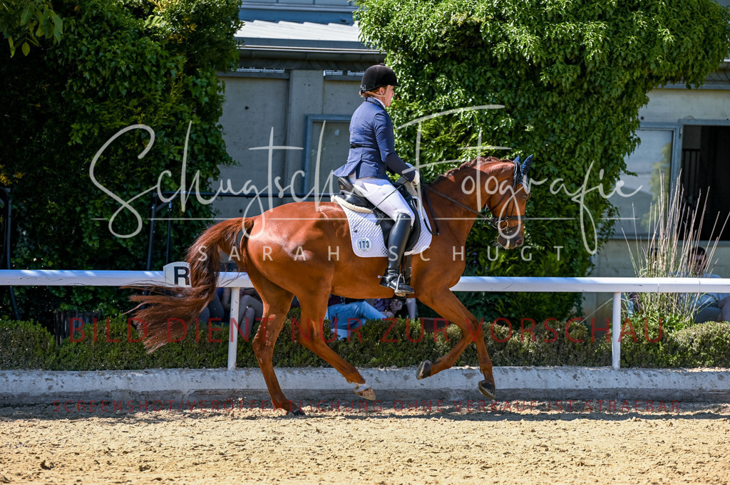 Schugtsche-Aluta25-50.Dressurpferdeprf.L-125 | Schugtsche Fotografie - Realisiert mit Pictrs.com