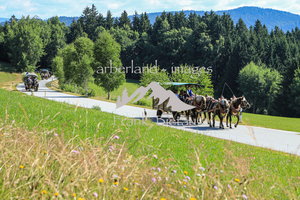 OE7A9717 | Medien- Sport- Entertainmentfotos