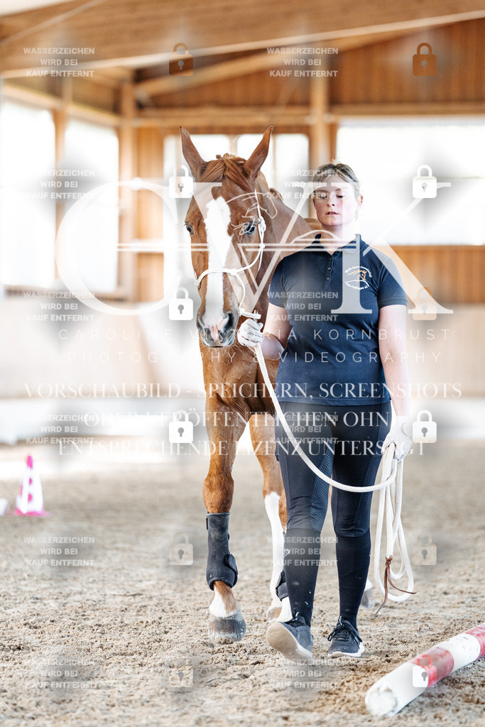 CK906098 | Turnierfotografie Pferdefotografie Trier Rheinland-Pfalz Pferdesport Reitsport Tierfotografie Sportfotografie Pferdevideo Pferdevideografie Equestrianvideography equestrianphotography  - Realized with Pictrs.com