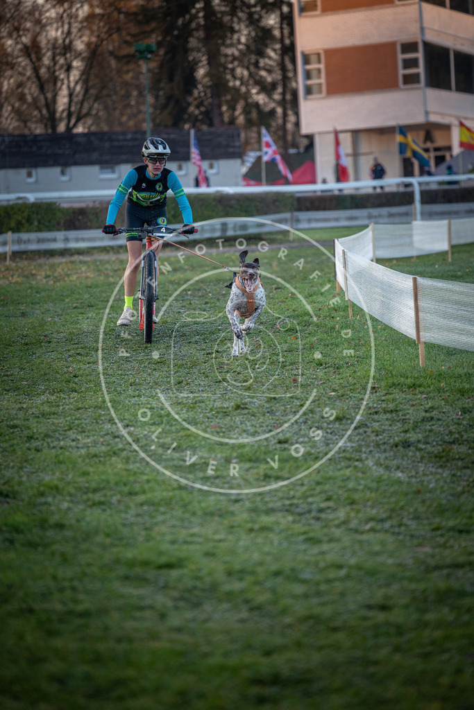 CaniXpix_0L8A0905 | Hundefotografie, Tierfotograf, Pfotenfotografie, Fotoshooting Hund, Hunde Portrait, Hundesport, Hundeportraits, Heideshooting, Hunde, Sportfotograf, Hundefotograf, Turnierhundsport, THS,  - Realisiert mit Pictrs.com