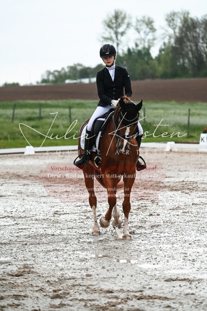 DSC_4276 | Pferde- und Turnierfotografie in Westsachsen. Pferdeportraits, Auftragszeichnungen und intuitive Kunst.
