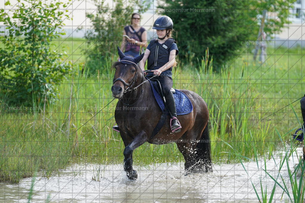 20240622-FAH08109 | Turnierfotografen Bayern, Reitsportbilder aus dem Geländekurs mit Felix Etzel auf dem Gut Waitzacker 2024
