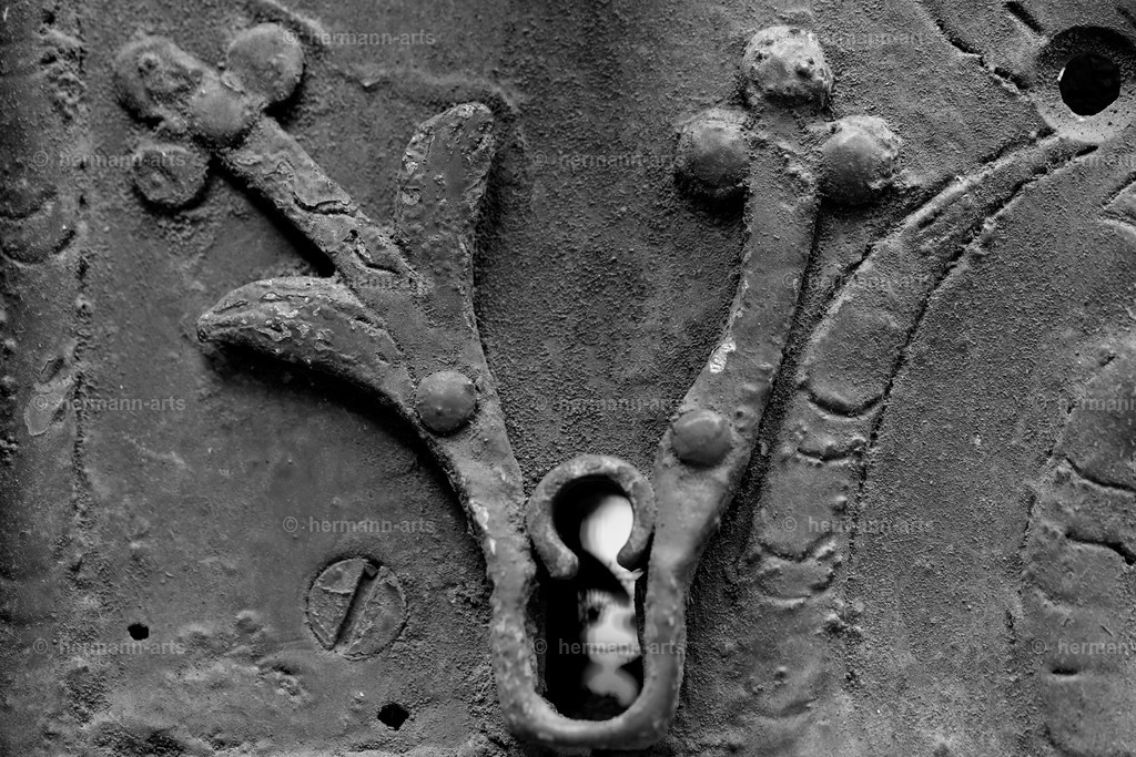 Hermann-Arts_Barockes Tor_048 | Photo Foto Kunst Art schwarzweiss Bilder Rheine Münster Berlin Blumen 