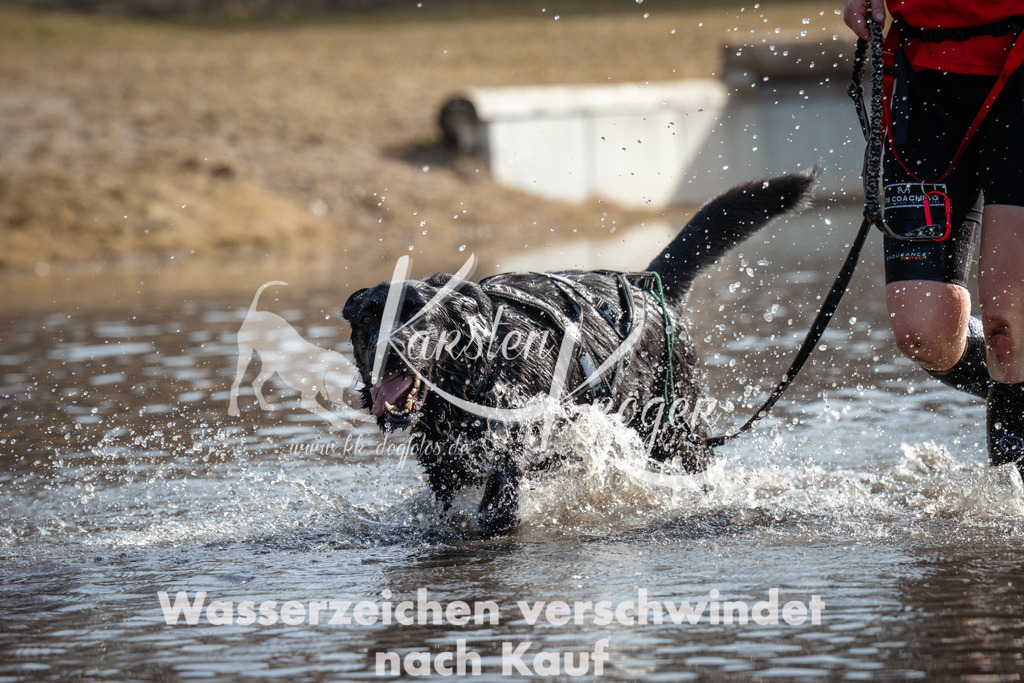 1102_ZZ91793 | kk-dogfotos