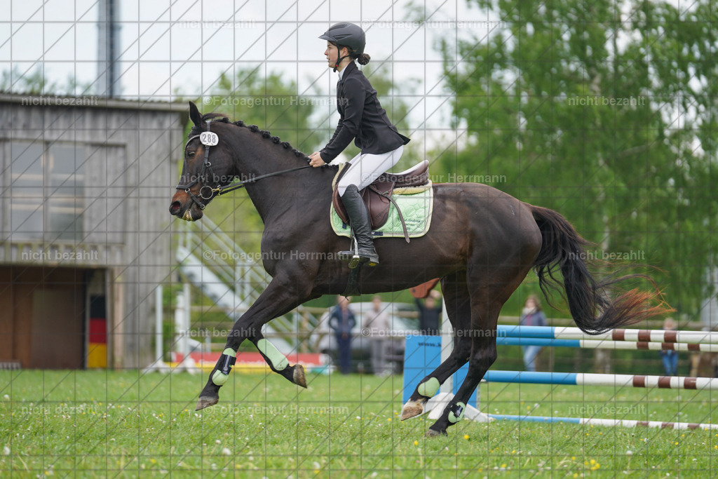 20240509-FAH02589 | Turnierbilder der Turnierfotografen Bayern, Pferdesport Fotografie, Reitsportbilder, Turnier Landberg am Lech, Turnierbilder bayern, Fotoagentur Herrmann