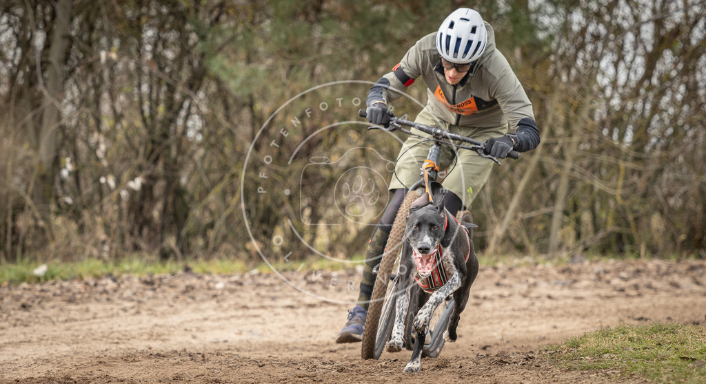 Pfotenfotografie_DV3A9369 | Hundefotografie, Tierfotograf, Pfotenfotografie, Fotoshooting Hund, Hunde Portrait, Hundesport, Hundeportraits, Heideshooting, Hunde, Sportfotograf, Hundefotograf, Turnierhundsport, THS,  - Realisiert mit Pictrs.com