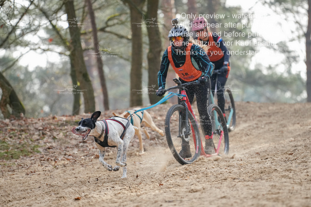 Scooter2-9 | stephaniefillaphotographie - Realisiert mit Pictrs.com