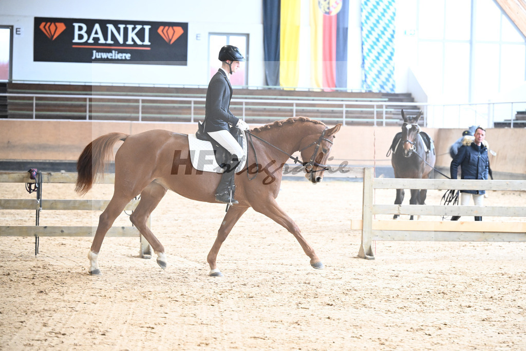 Kat-Nr. 5 Penelope v. Morricone I_Randlkofer_50250231 | hf-fotografie - Realisiert mit Pictrs.com